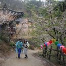 경북 예천군 비룡산(飛龍山)