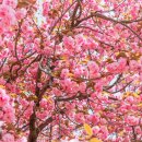 국가유산청 여권 경주 투어 총 6개 한번에 하는 루트