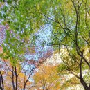 강남한방공인중개사사무소 이미지