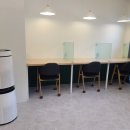 카멜리아스터디카페원주무실점 이미지