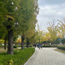 시민공원 남문 | 부산 단풍 명소 부산시민공원 방문후기 가족나들이장소 주차정보 지도 11월 문화행사일정