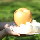 명성농장 이미지