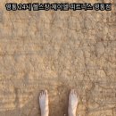아람휘트니스 네이버블로그