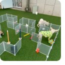 동원유치원 | 11월 유치원생활 멍프리스쿨 밥이 일기장💛 (그만좀미뤄..)