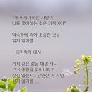 어린왕자 명대사 한줄 이미지 이미지