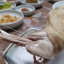 도리골토종닭