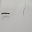 상수도사업본부 화장실 이미지