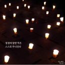 산청동물의료센터 이미지