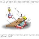 건설안전기술사_러그(Lug) 이미지