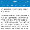 산스 이미지