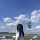 가리정 네이버블로그