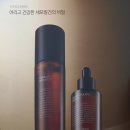 인셀덤줄리