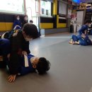 용인대 특전 합기도 이미지