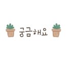 어쩌다빅 이미지