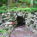 나리 신령수 이미지