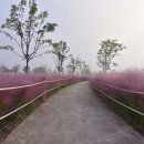 소양공원 이미지