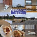 제주 카멜리아힐 근처 카페 터틀락 후기