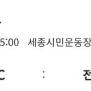 세종시민운동장 보조구장 이미지