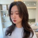 듀헤어 이미지