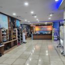 킹덤스포렉스 이미지