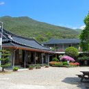 백화회관 이미지