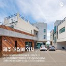 더쉼효소 이미지