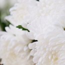 (주)사람과문화건축사사무소 이미지
