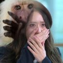 꼼꼬미헤어 이미지