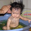 만대 Daum카페