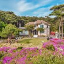 강릉애 진심 이미지