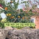 스테이사암 | 겨울 제주 2박 3일 여행 일기