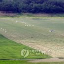 남면축산 이미지