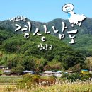 마음챙김여행백락투어 이미지