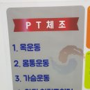 정통칼리아르니스