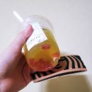 메뉴❤️짜릿하고 달콤한 스타벅스 신메뉴 네오 쿨 테이스티 매실 피지오(NEO COOL TASTY PLUM FIZZIO) 후기🤩💕