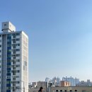 마조르댕 이미지