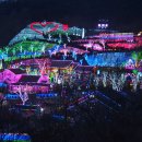 청도프로방스 불빛축제 카라반 펜션 이미지