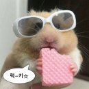 서구-53 | 2025년 제 53회 방사선사 국가시험 후기