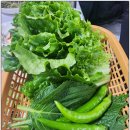 화순식당 | 화순 금호리조트 5분 거리 삼겹살 맛집 광주식당 내돈내산 후기!