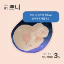 양수로 | 쉬즈메디 출산 후기 제왕절개 수술날짜 전 양수터짐 주말 이슈