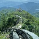 모노포레스트 이미지