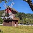 양평양떼목장 이미지