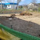 어단1리 이미지