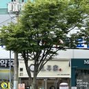 대구 수성구 ‘호두가 시지점’ 내돈내산 후기!🎁