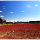 하늘풍차 이미지