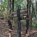 상당근린공원 이미지