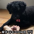 댕심당 | 강아지 수제 간식 댕심당 캥거루 연근칩, 다이어트 보양식 추천