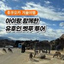 (주)아시아렌트카 | 2025] 아이랑 가족여행 유후인 벳푸 아프리칸 사파리 가마도지옥 온천 투어 후기(유모차,휠체어 이용)