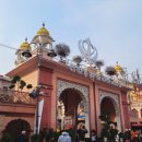 올드델리 이미지