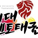 경희대 멘토 태권도 이미지